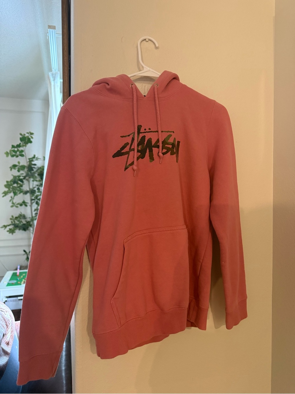 Unisex Coral Pullover Hoodie